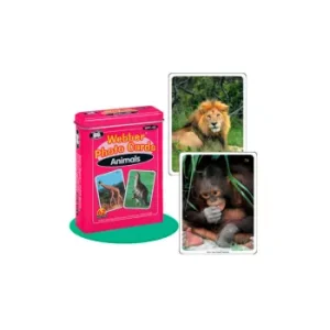 Flash Cards Animales