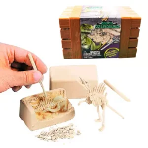 Kit Paleontología Fósil Tiranosaurio
