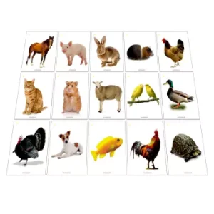 Tarjetas de Animales Domésticos