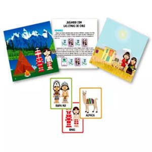 Set Libro Y Etnias Chilenas