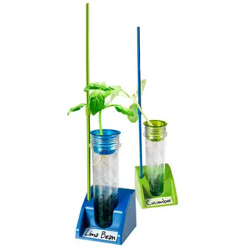 Kit Hidropónico Crecimiento Plantas