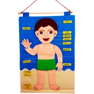 Cuerpo Humano de Género
