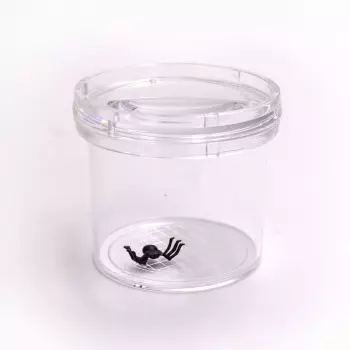 Vaso Lupa