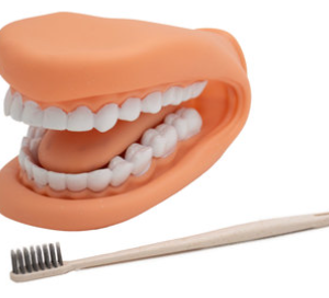 MODELO DE MANDIBULA CON LENGUA