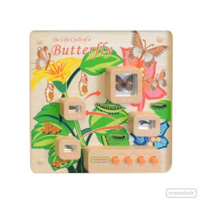 Tablero De Pared Ciclo Mariposa Masterkidz