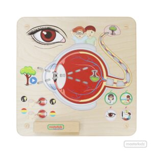 Tablero De Pared Sentido De La Visión Masterkidz