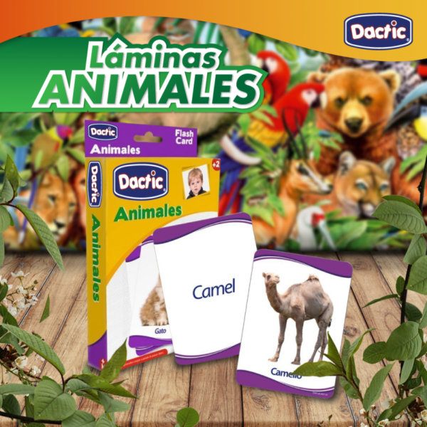 Láminas Animales Dactic - Imagen 4
