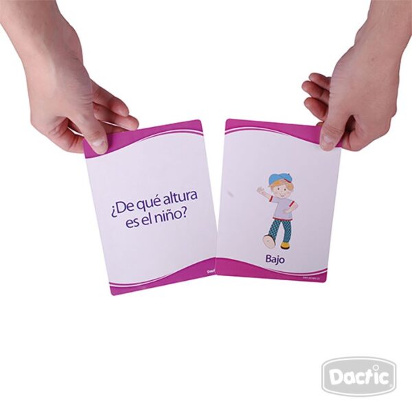 Láminas Conceptos Dactic - Imagen 3